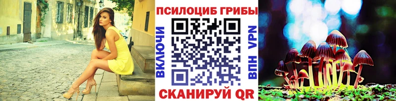 MEGA зеркало  Тотьма  Псилоцибиновые грибы Psilocybine cubensis 